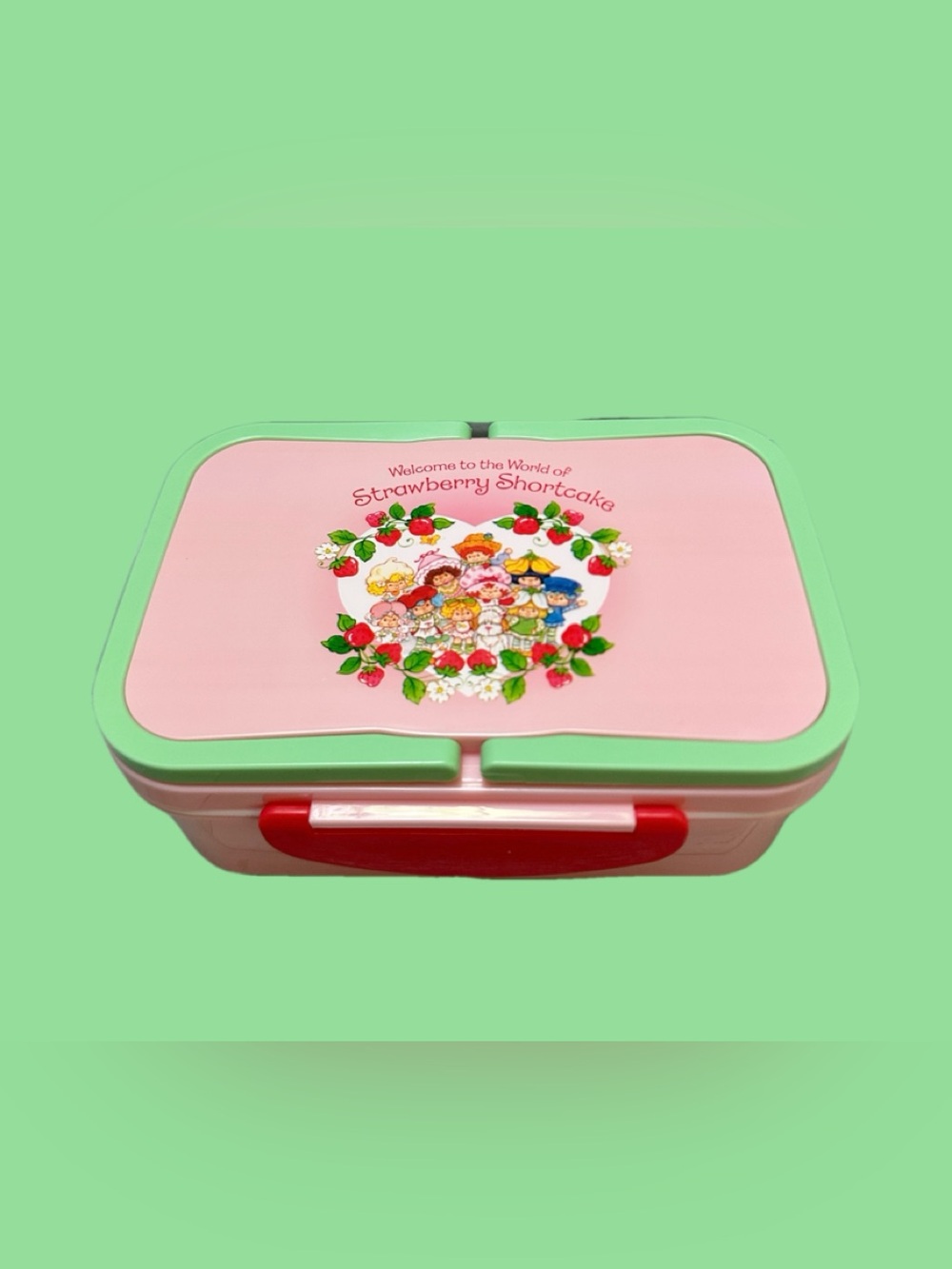 Strawberry Shortcake Pink & Mint Kids Storage Box